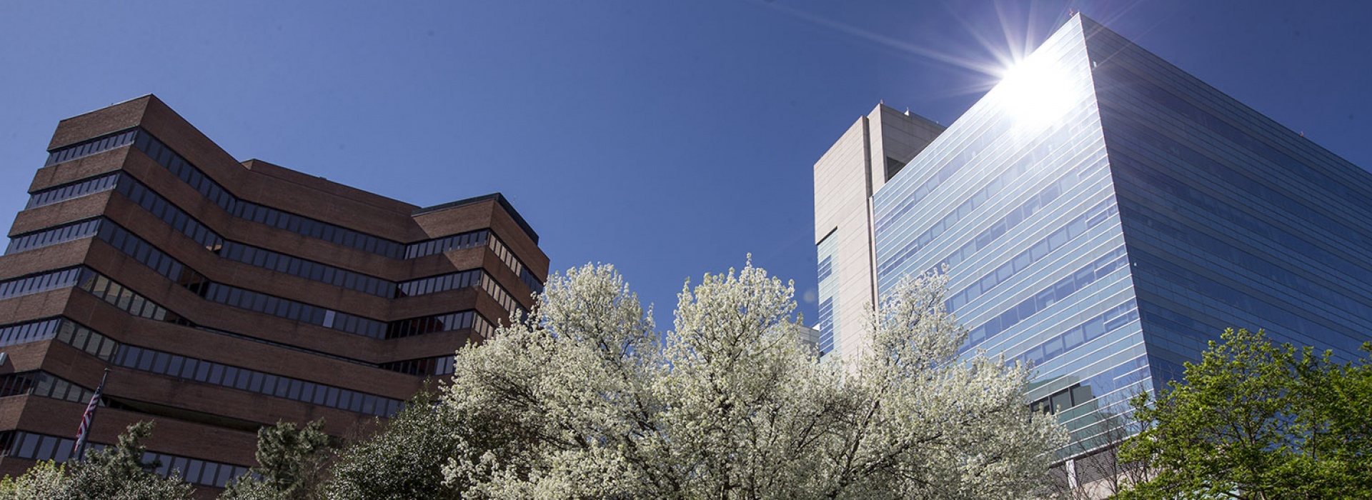 VUMC file photo in spring