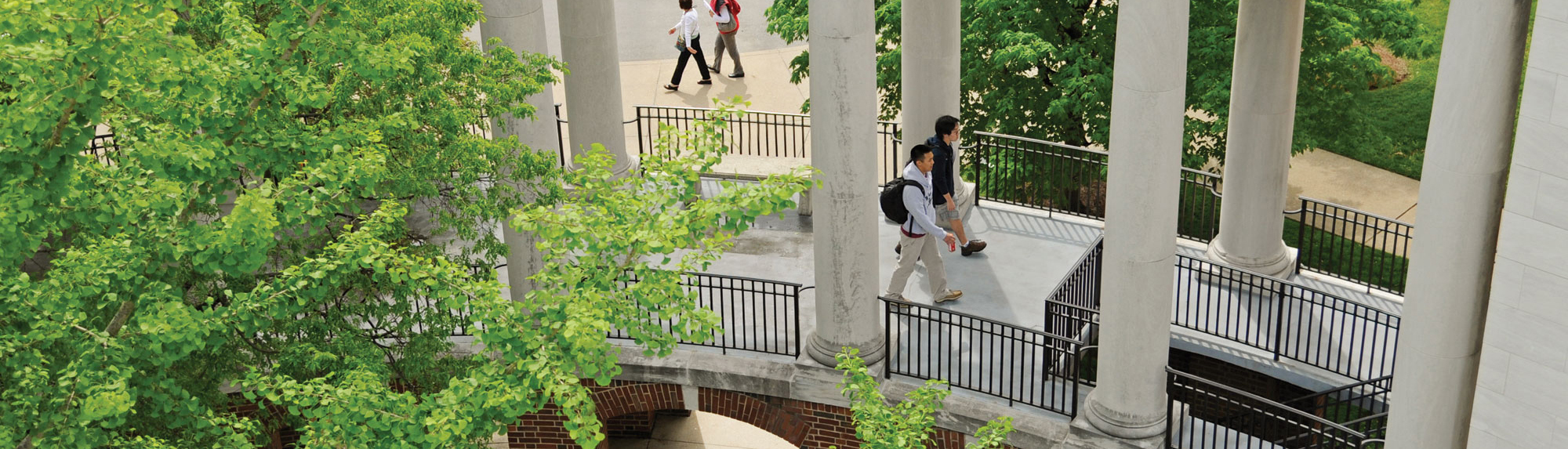 Campus Green Walkway